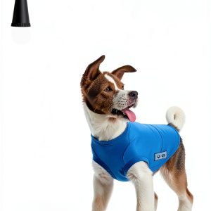 First Second Graphic Novel Science Nature Teens Reading-0