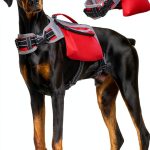 DENTRUN Dog Backpack Waterproof Red Hiking-0