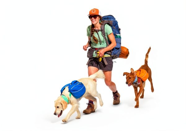 Ruffwear Dog Backpack Approach Pack Blue Dusk Medium Size-1