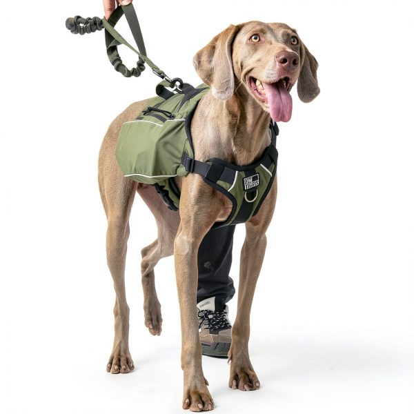 OneTigris Dog Backpack Harness TG-ZGB04 Adjustable Nylon with-5