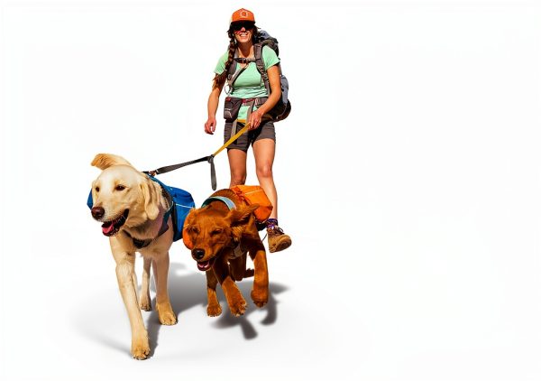 Ruffwear Approach Dog Backpack Blue Dusk Trail-Ready Hiking Pack-3