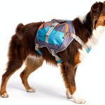 Cesar Millan Dog Backpack Small Blue Breathable Hiking Pack-0