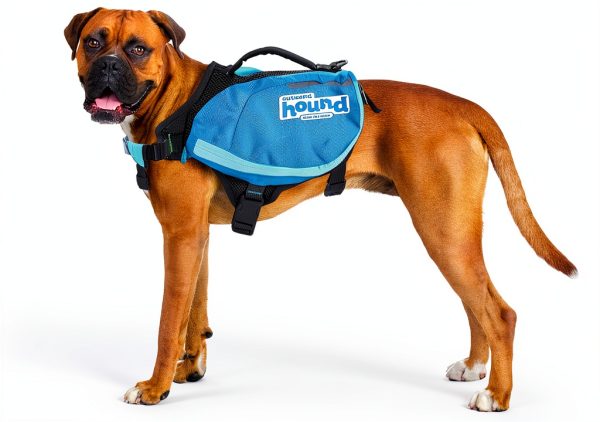 Outward Hound Dog Backpack DayPak Expandable Hiking Gear 22005 Medium-0