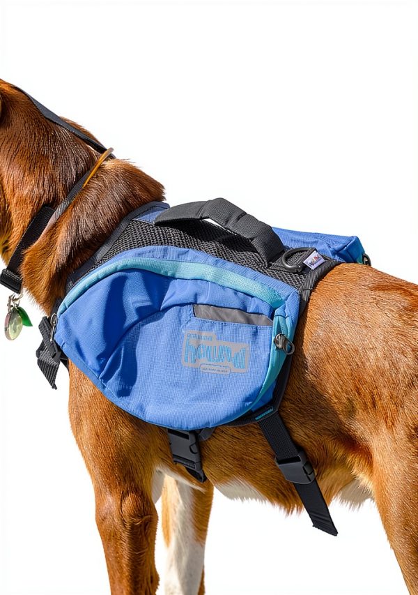 Outward Hound Dog Backpack DayPak Expandable Hiking Gear 22005 Medium-3